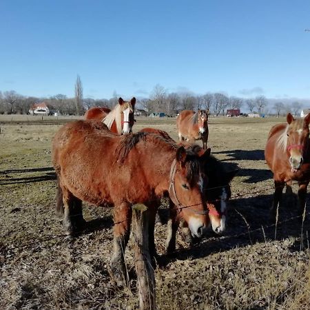 הוילה Świnoujście Domek Letniskowy Szuwarek מראה חיצוני תמונה